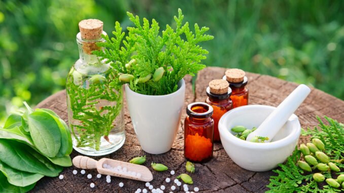 naturopathe bordeaux naturopathe bordeaux