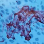 detection-fuite-piscine