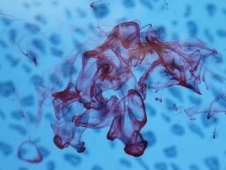 detection-fuite-piscine