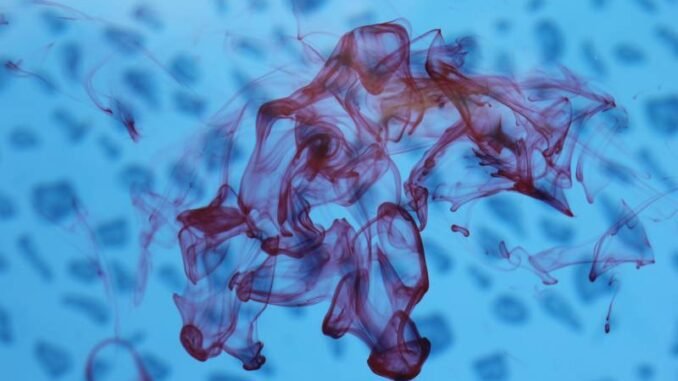 detection-fuite-piscine detection-fuite-piscine