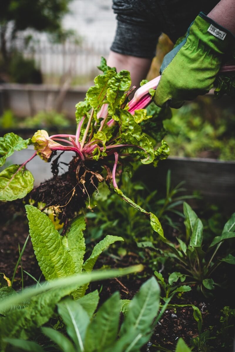 équipement jardinage