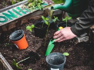 équipement jardinage