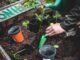 équipement jardinage